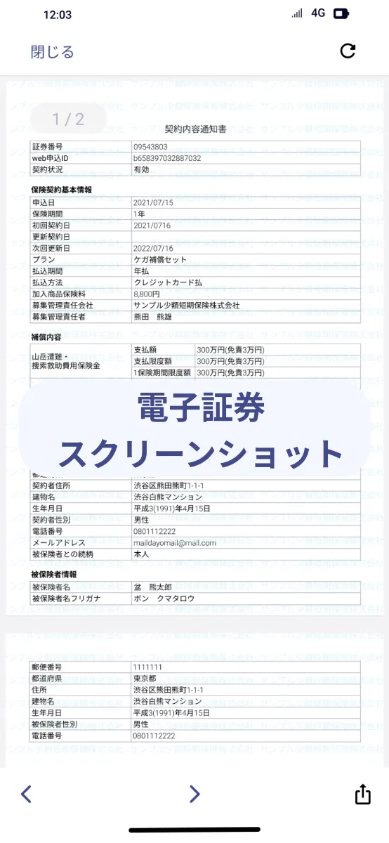 保険書類の例2:電子証券・スクリーンショット